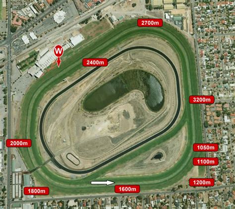 morphettville race fields|Morphettville Parks Form Guide (Race 5) .